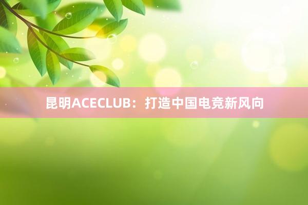 昆明ACECLUB：打造中国电竞新风向